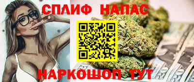 сатива Краснодар