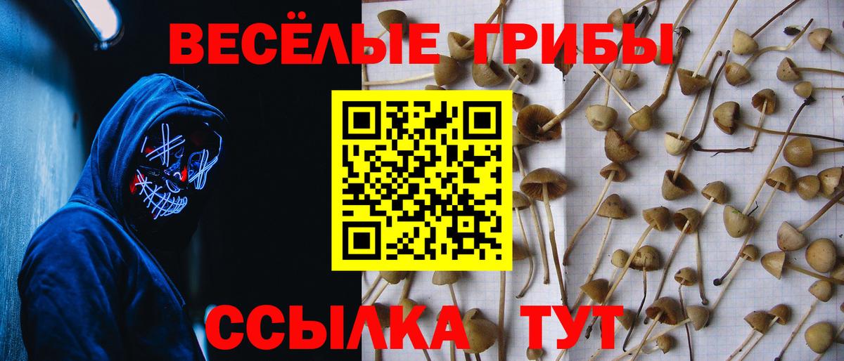 Галлюциногенные грибы Magic Shrooms  Вход с VPN  Галлюциногенные грибы Cubensis  Керчь 