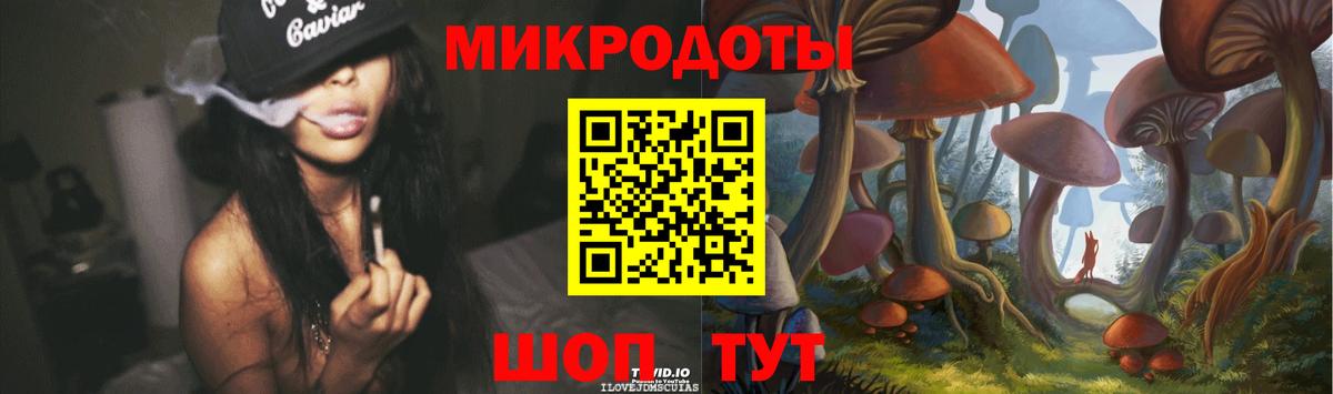 Псилоцибиновые грибы Psilocybe Керчь